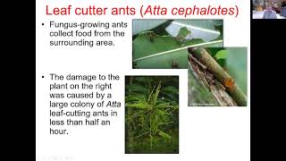 Ch 7  Microbial Nutrition Ecology and Growth 2 of 2 [upl. by Volnay230]