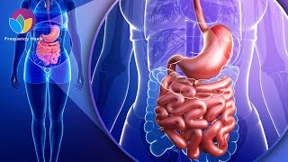 Intestine Detox Program  Remove Toxins from Your Intestines amp Boost Digestion amp Enhance Absorption [upl. by Ario66]