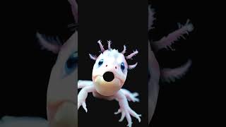 Bozo kids  viralvideo funny cute foryou youtubeshorts art cartoon fyp fy animation [upl. by Normandy]