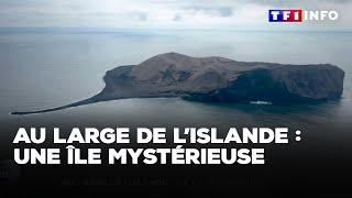 Au large de l’Islande  une île mystérieuse｜TF1 INFO [upl. by Ognimod]