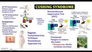 3 Minutes Cushing Syndrome Causes Symptoms Diagnosis Treatment Pathology USMLE NCLEX MCAT [upl. by Hartman]