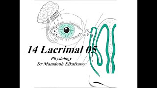 14 Lacrimal physiology part5 فسيولوجي عيون Elkafrawy ocular Physiology  Basics [upl. by Euell550]