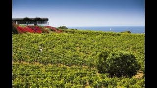 La Sicilia del vino punta sull’enoturismo di alto livello all’insegna dell’“autenticità” [upl. by Devinne]