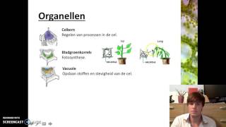 Organen en cellen  Plantaardige cellen [upl. by Eenhpad]