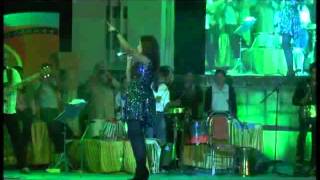 Nagada Sangh DholRam Leela song by Shreya Ghoshal Live at Dharwad Utsav 2013 [upl. by Elisabet815]