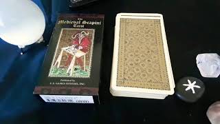 Medieval Scapini Tarot Deck flip through [upl. by Aia]