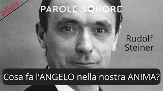 COSA FA LANGELO NELLA NOSTRA ANIMA  Rudolf Steiner  Parole Sonore [upl. by Ettecul]