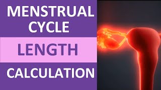 Menstrual Cycle Calendar Calculation Explained  Period Cycle Length Counting [upl. by Saref]