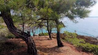 Best in Greece Forest view from Tripiti beach Thassos [upl. by Corsiglia991]