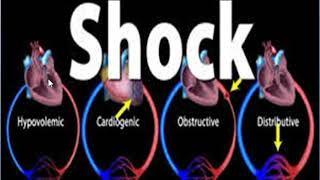 vasopressors and inotropes 2 principles [upl. by Janaye]