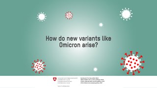 How do new variants like Omicron arise [upl. by Orpah512]