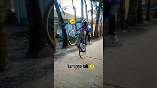 Crash o Bhai 😱😭 cycle mtb bike rider stunt flamingo wheelie shorts [upl. by Kreis]