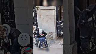 King Guard kindness with disabled Woman kingsguard horse alanwalker [upl. by Esina587]