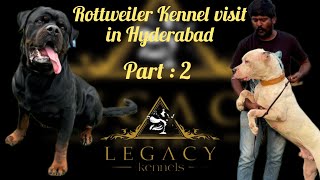 part  2  Biggest Rottweiler Kennel in TS amp AP  Legacy Kennel vlog hyderabad hyderabad telugu [upl. by Llerrehc594]