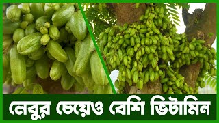 বিলিম্বি শুধুমাত্র টক প্রেমীদের জন্য  Agro News Bangla [upl. by Oakley]