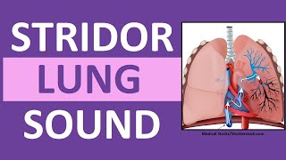 Stridor Sound Breathing Sounds Abnormal Lung Sounds [upl. by Chenee]