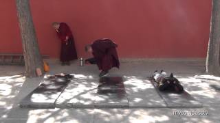 Tibetan Buddhist Prostration  Wǔtái China [upl. by Adiv141]