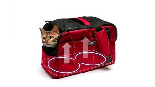 How to Use the Assisi Loop Lounge™ with Sleepypod Atom®  Assisi Animal Health [upl. by Melessa569]