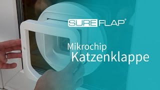 Glasinstallation von SureFlap Katzenklappe [upl. by Batory]