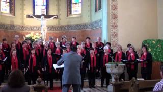 Ging ein Weiblein Nüsse schütteln  Salzland Frauenchor Staßfurt a cappella SSAA choir [upl. by Eart198]