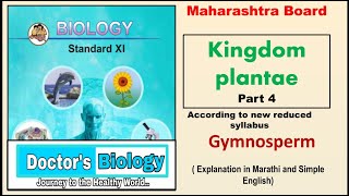 Kingdom plantae class 11 Biology part 4 Gymnosperm [upl. by Liartnod]