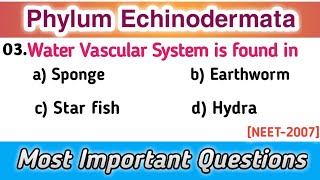 animal kingdom mcq for neet  animal kingdom mcq  Phylum Echinodermata mcq [upl. by Weil]