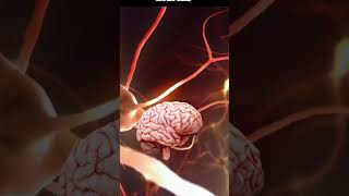 Mind blowing fact about brain viral [upl. by Aay]