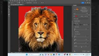 Photoshop Refine Edge Tool [upl. by Marler719]