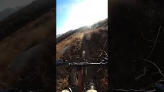 De puntitas 🇲🇽👍🏽🙌🏽 por las piedras youtubeshorts mountainbikeglobal mtb mountainbiken ￼ [upl. by Almund]