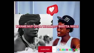 KWAME NUT FT SHATTA WALE WOA WASEM [upl. by Drahser]