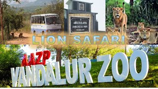 Lion safari at Vandalur Zoo [upl. by Taimi]