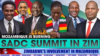 SADC leaders coming to Zimbabwe as ZANU PF quotunintentionallyquot brings chaos in the region [upl. by Gunilla244]