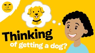 Thinking of rehoming a dog  Dogs Trust [upl. by Bessie]