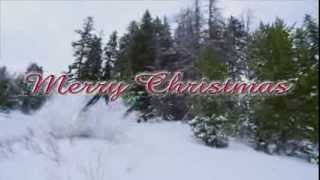 Arctic Cat 2013 Holiday Video [upl. by Maddalena]