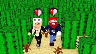 12 HERZ IM KAKTUS LABYRINTH MINECRAFT 💝 [upl. by Laundes]