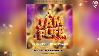 JAM PUFF RIDDIM MEGA MIX  RED THE ARTIST  DJ KY  TIONNE HERNANDEZ  2024 SOCA [upl. by Blinnie399]