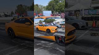 Audi RS3 quotEl Generalquot vs Ford Mustang arrancones Autódromo Moisés Solana 2024 [upl. by Hgielanna375]