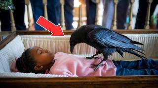 A Crow Landed on the Girls Coffin During Her Funeral—What Happened Next Will Shock You [upl. by Chisholm778]