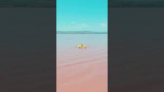 The Pink Wonder Lake Hillier facts biologicalwonders science nature lakes mystery [upl. by Zat181]