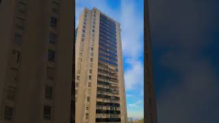 Cloudbusting  Rescue Cat  Catio  Sunset  Perfect Toronto October Day [upl. by Brear]