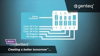 Furnace Motor HowTo Genteq X13 Motor Connections [upl. by Zildjian]