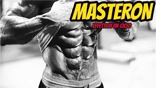 MASTERON  Effetti Di Un CICLO In MASSA e In DEFINIZIONE  BODYBUILDING [upl. by Trebron]