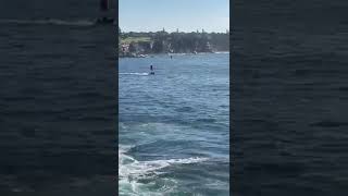 Coogee beachswim around the island back buoys will mark the course straight back to the beach [upl. by Oinotnaesoj]