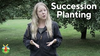 Beginners Guide to Succession Planting [upl. by Atsyrc191]