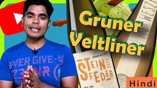 GRÜNER VELTLINER Austrias Iconic Wine GrapeWhat is GRUNER VELTLINER HINDI [upl. by Eiblehs]