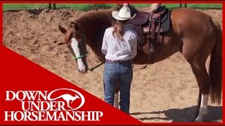 Clinton Anderson More Horse Than Handle Part 2  Downunder Horsemanship [upl. by Meela]