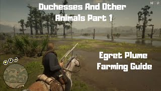 RDR2  Duchesses And Other Animals Part 1  Egret Plume Guide [upl. by Notyal421]