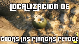 GTA V PS4 amp Xbox One  Localizacion de todas las plantas Peyote [upl. by Dalury]