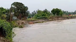 ক্ষিদ্রচাপড়ি গ্রামে অগ্রাসী যমুনা  Terrible River Erosion in Sirajganj [upl. by Maddox863]