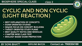 CYCLIC AND NON CYCLIC PHOTO RESPIRATION  LIGHT REACTION PLANT PHYSIOLOGY biology neet class11 [upl. by Lidda]